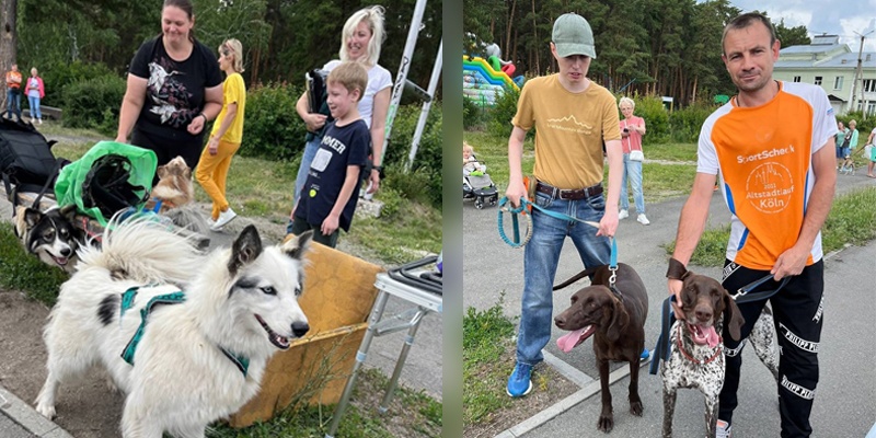 В Южноуральске прошло мероприятие, приуроченное ко Дню кинолога
