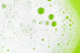 На озерах региона появилась бело-зеленая пена