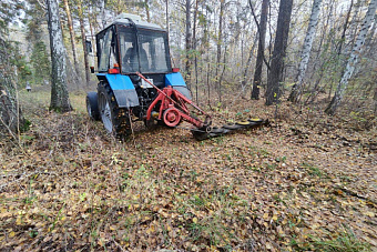 К зимнему сезону очистили лыжную трассу в лесном массиве