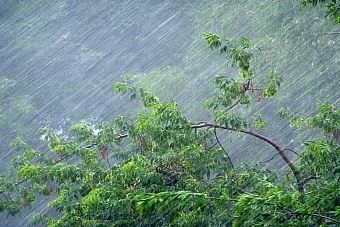 МЧС объявило штормовое предупреждение