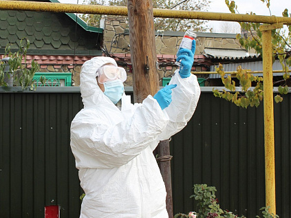 В Увельском районе у животных нашли грипп и бешенство