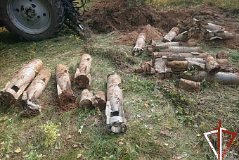 В Увельском районе нашли 17 авиабомб