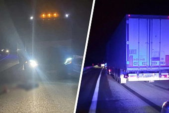 Большегруз из Увельского района сбил пешехода на трассе