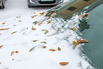 В регионе прогнозируют умеренное похолодание