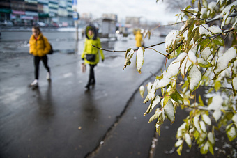 Синоптики обещают заморозки в ночь на 27 сентября