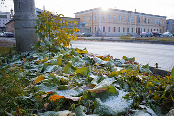 В Челябинской области выпал первый снег