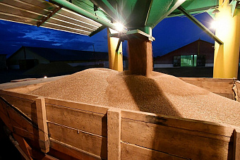 Россия временно запретила экспорт зерна и сахара в другие страны