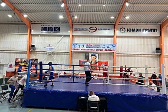 В Южноуральске стартовал областной турнир по боксу
